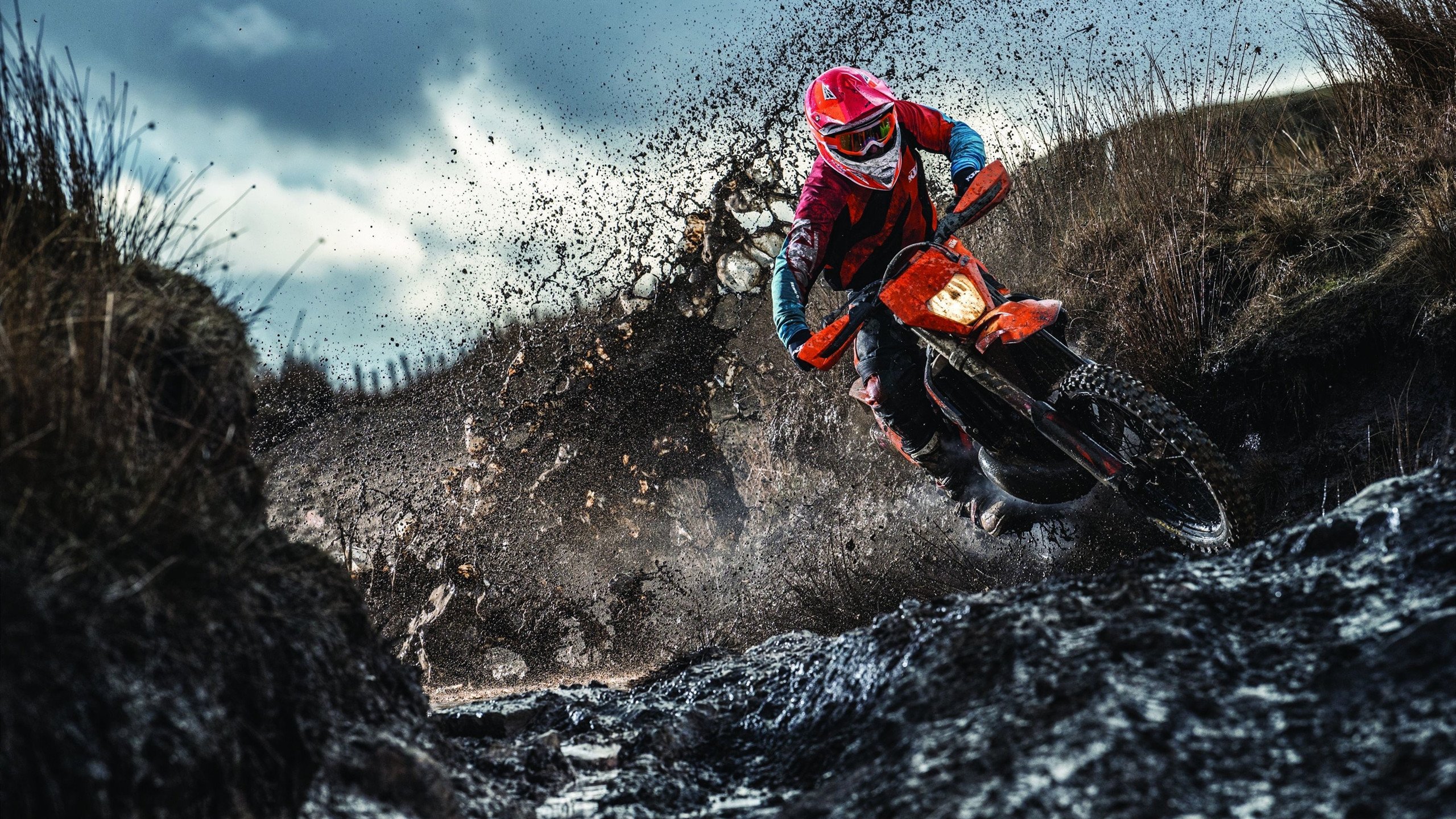 德国中生代泳将施瓦茨稳中求胜