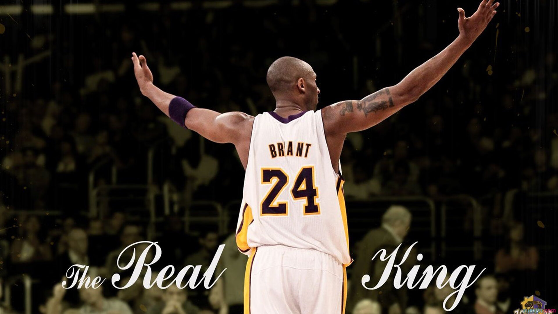 综合实力突破仍需系统持续投入，综合实力全面提升